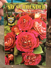 Load image into Gallery viewer, Rose - Floribunda 'No Surrender'
