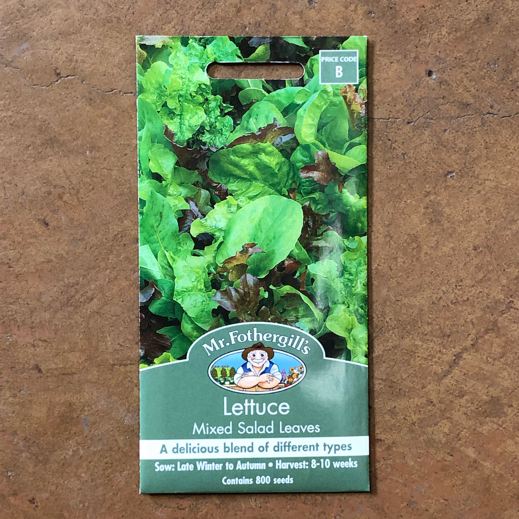 Lettuce 'Mixed Salad Leaves' seeds