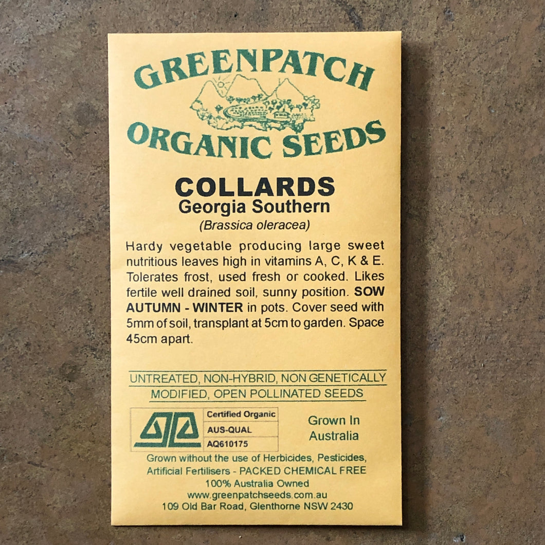 Collards 'Georgia Southern' Greenpatch Seeds