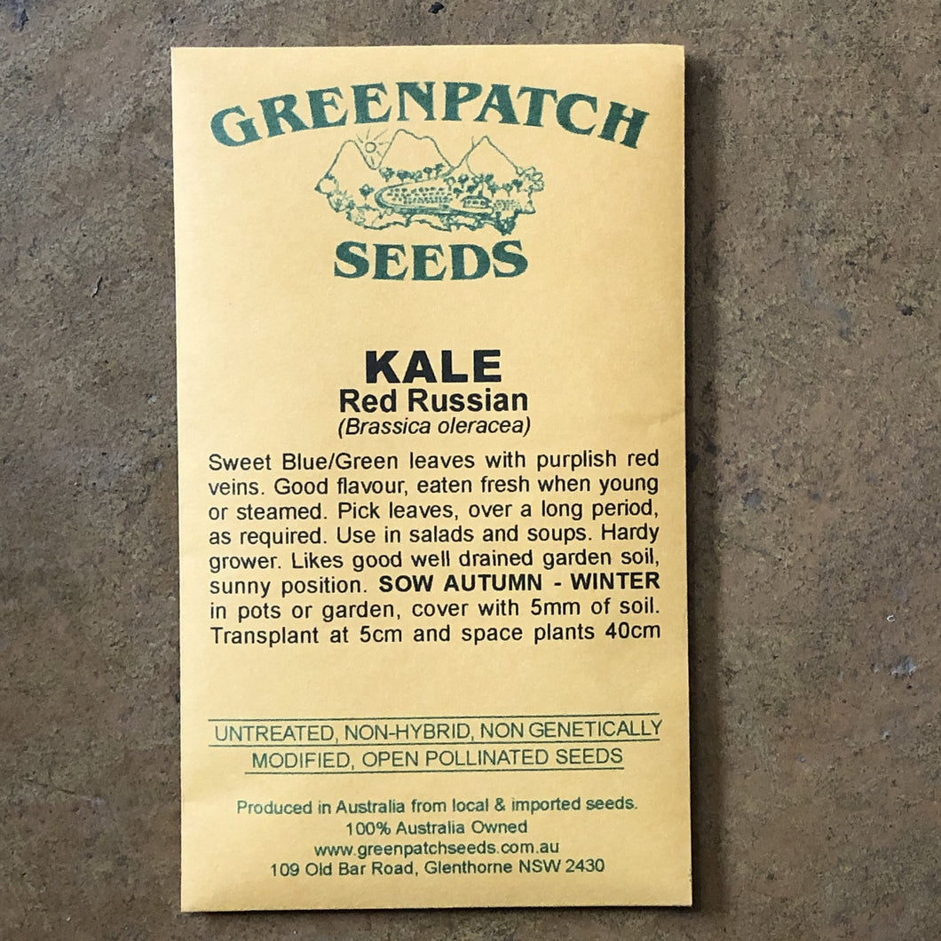 Kale 'Red Russian' Greenpatch Seeds