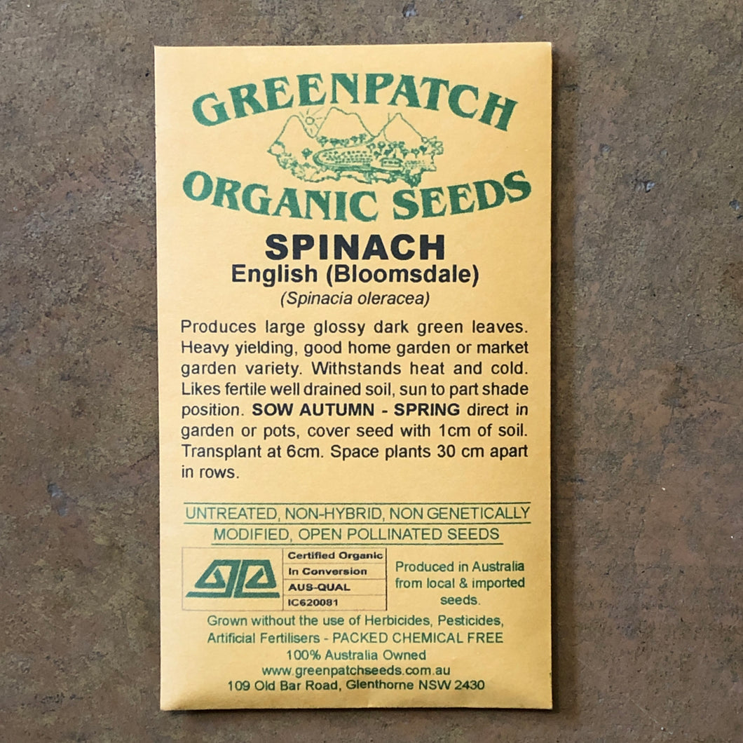 Spinach 'English Bloomsdale' Greenpatch Seeds