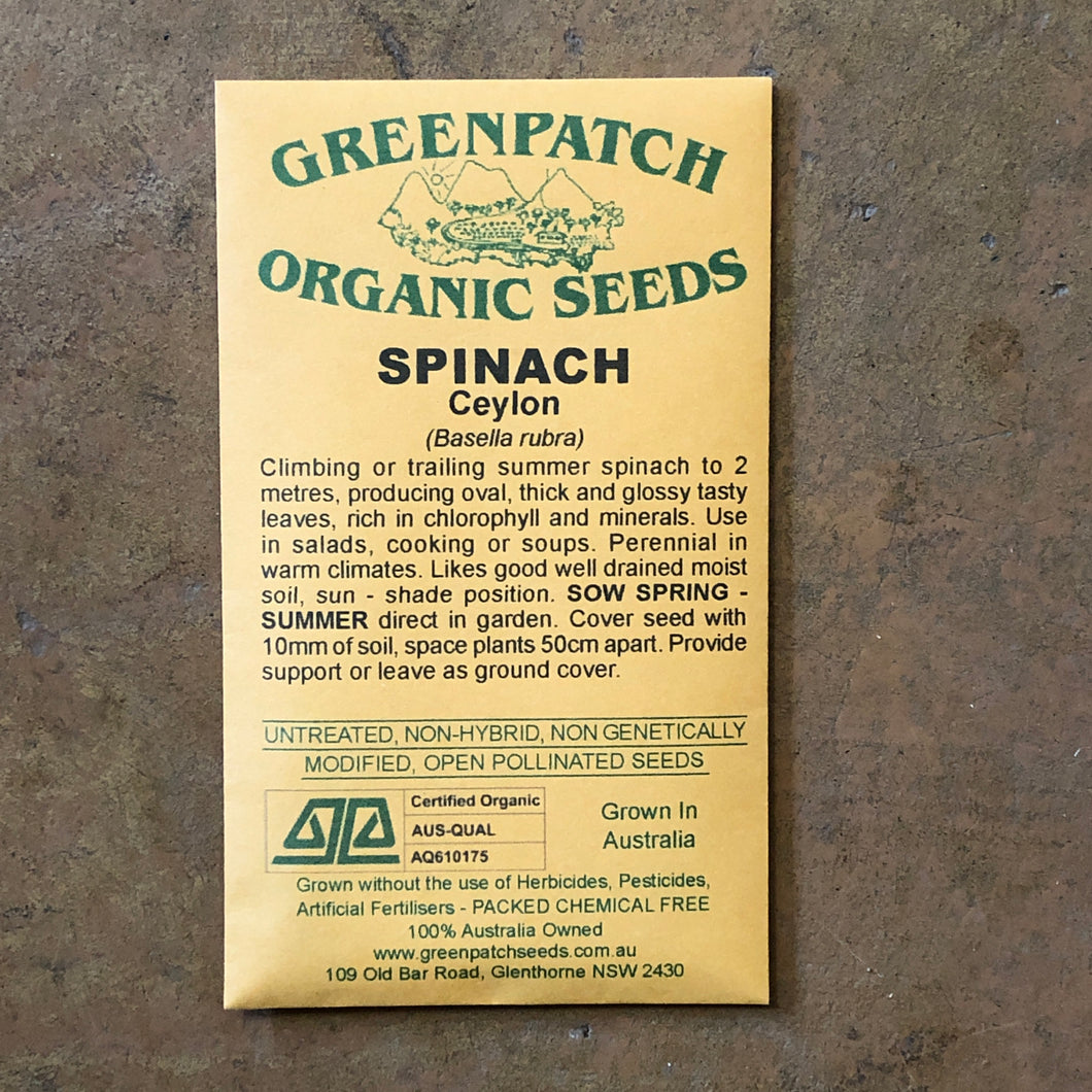 Spinach 'Ceylon' Greenpatch Seeds