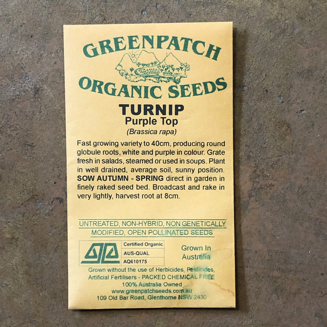 Turnip 'Purple Top' Greenpatch seeds