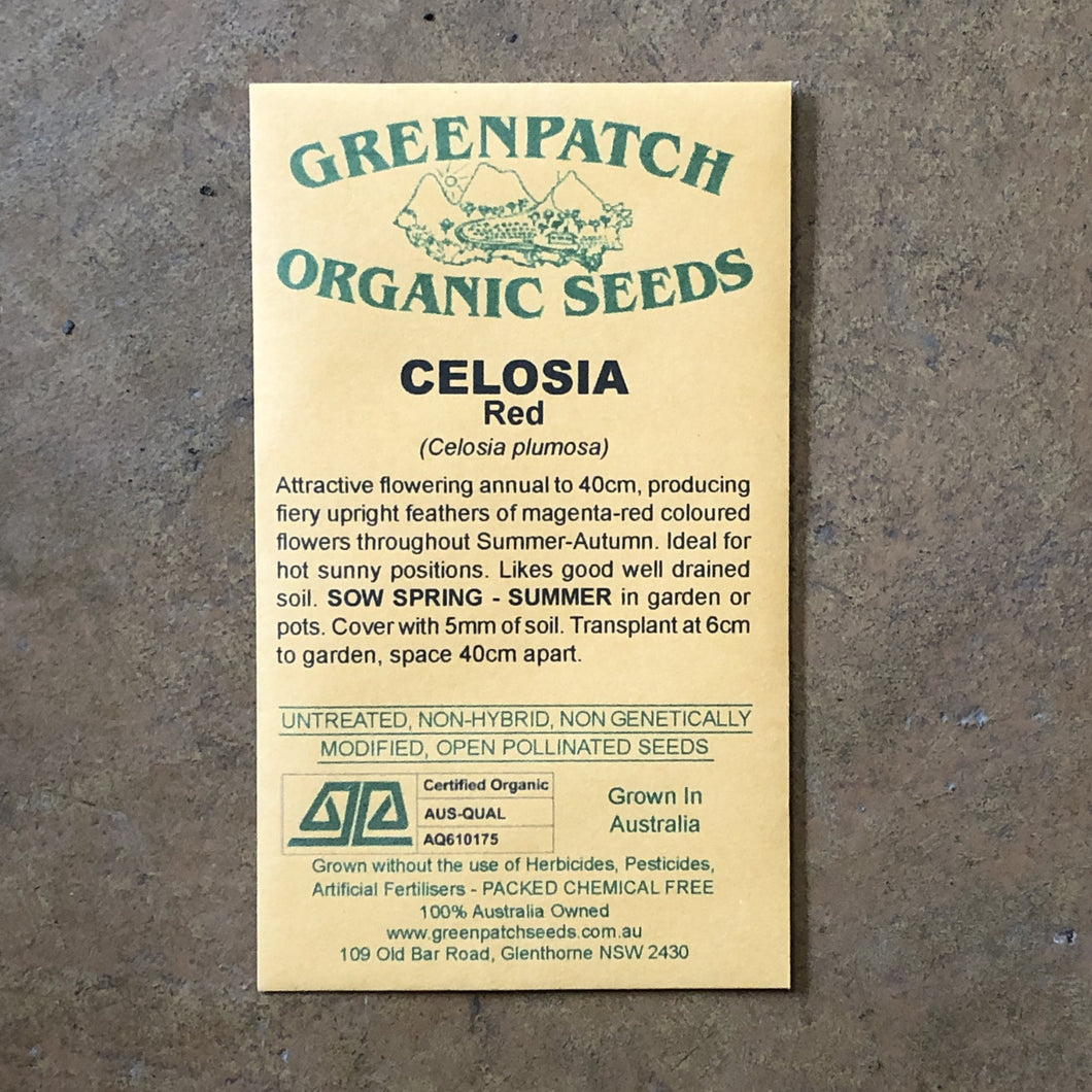 Celosia 'Red' Greenpatch Seeds