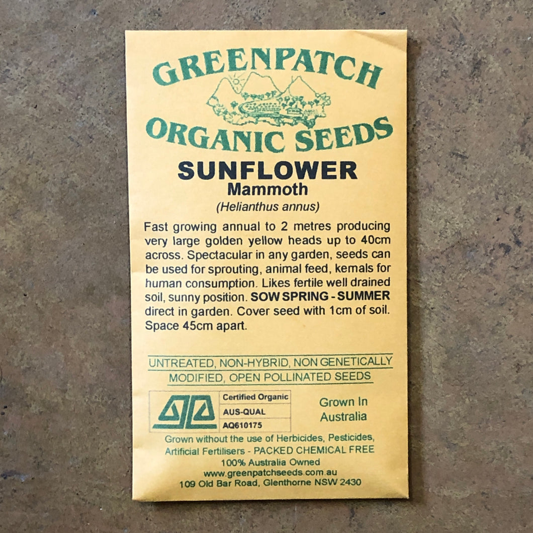 Sunflower 'Mammoth' Greenpatch Seeds