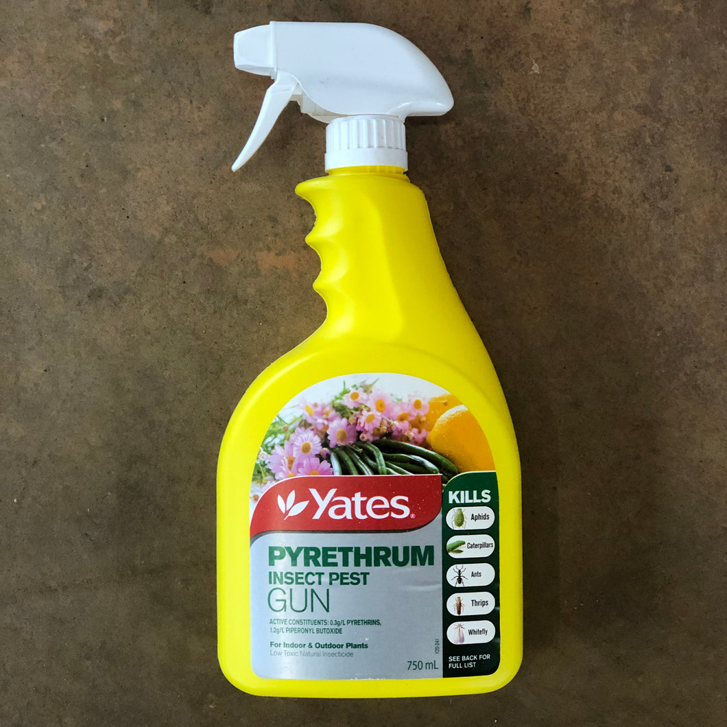 Pyrethrum Insect Pest Killer Gun