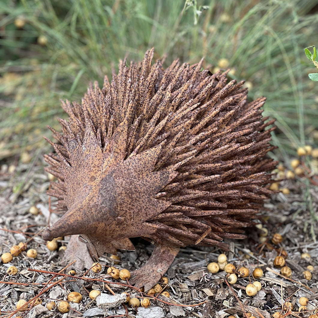 Echidna Large Rust