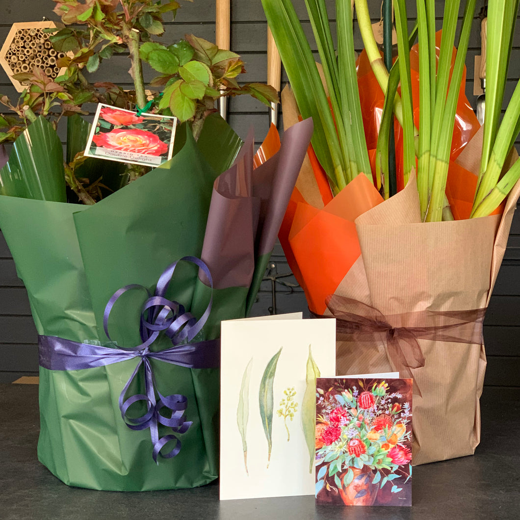 Gift Wrapping & Card