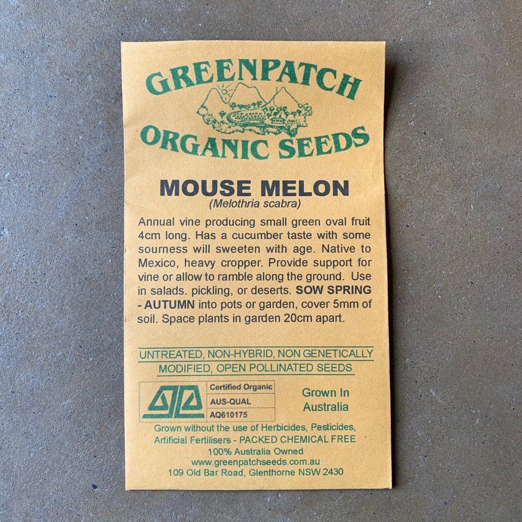 Melon 'Mouse' Greenpatch Seeds