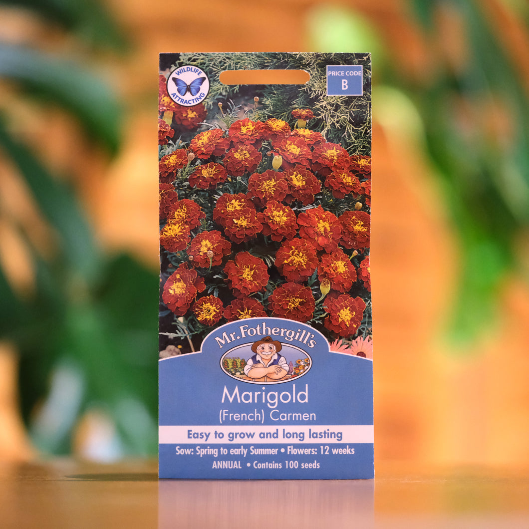 Marigold (French) 'Carmen' seeds