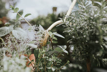 Load image into Gallery viewer, Haws &#39;The Rowley Ripple&#39; 1L Watering Can - Cream
