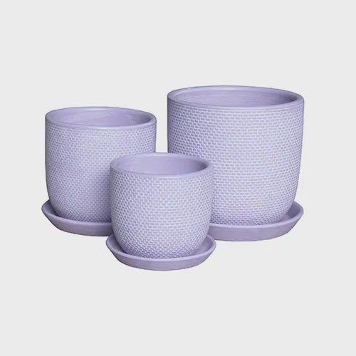Soho Indoor Violet