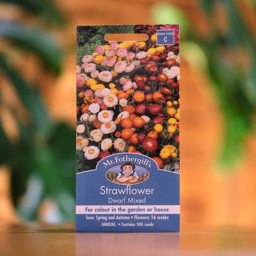 Strawflower 'Dwarf Mixed' Seeds