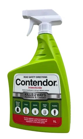 Contendor