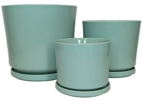 Derwent Cylinder Mint