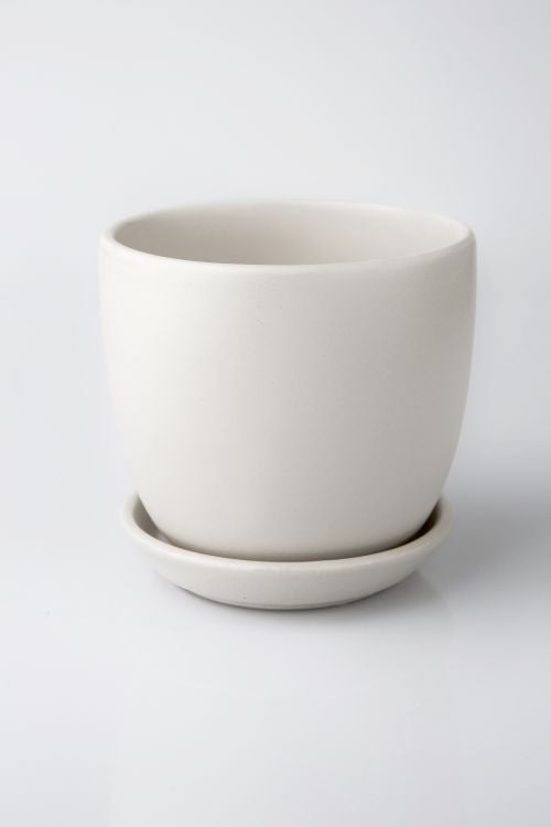 Tulip Pot with saucer - Light Grey
