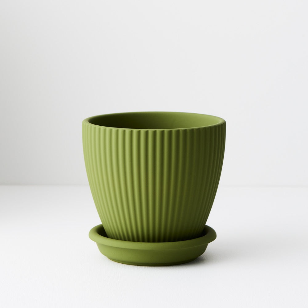 Pot Johanna with Saucer Jungle Green