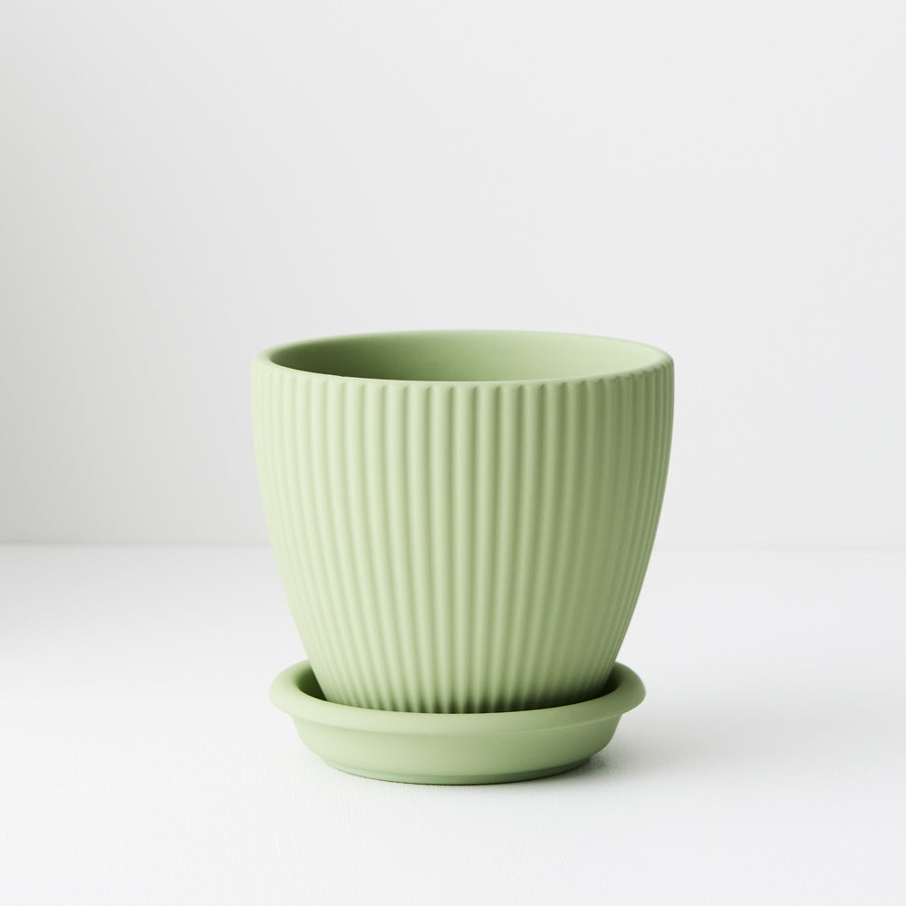 Pot Johanna with Saucer Sage