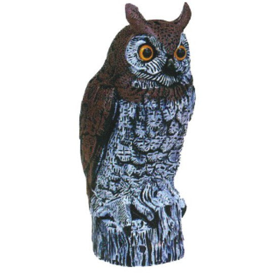 Owl Decoy – Northcote Nursery