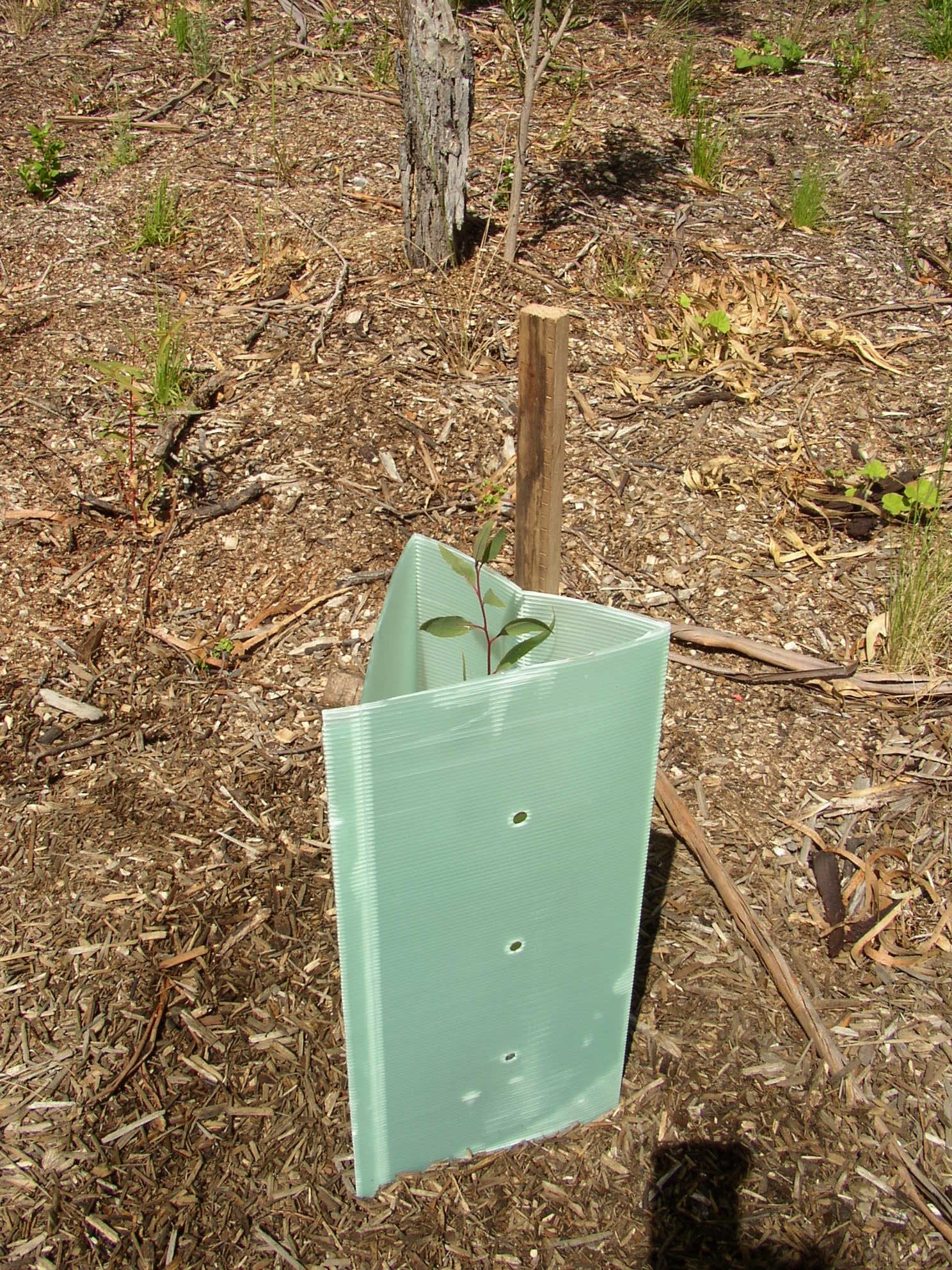 Triangle Tree Guard Welded Fluted Plastic Tree Guards – Northcote Nursery