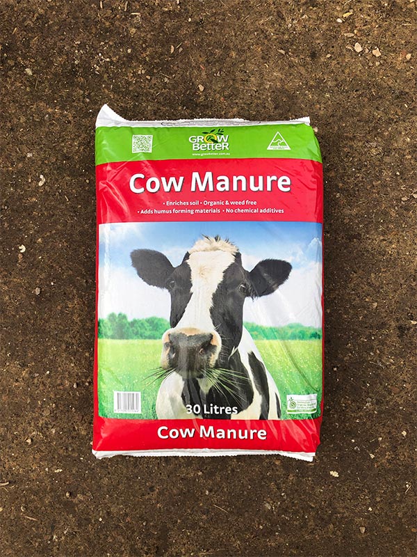 Cow Manure