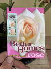 Load image into Gallery viewer, Rose 'Better Homes &amp; Garden’
