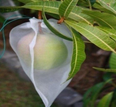 Fruit Protection Bags