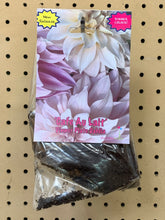 Load image into Gallery viewer, Dahlia ‘Cafe Au Lait’
