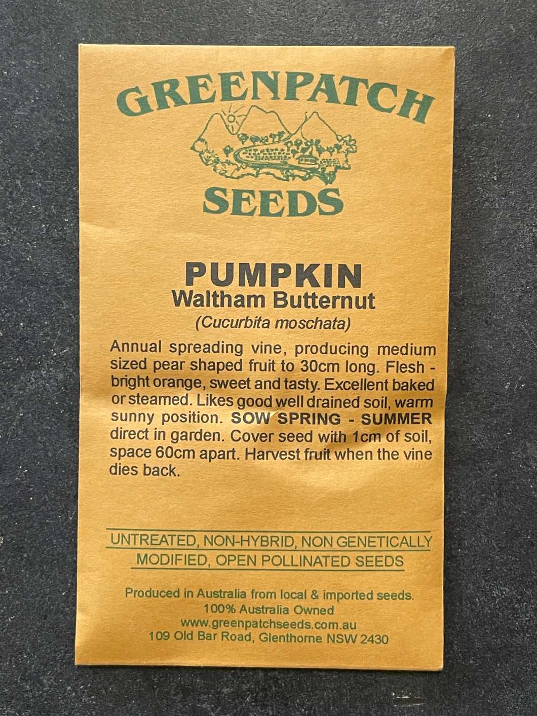 Pumpkin ‘Waltham Butternut’ Greenpatch Seeds