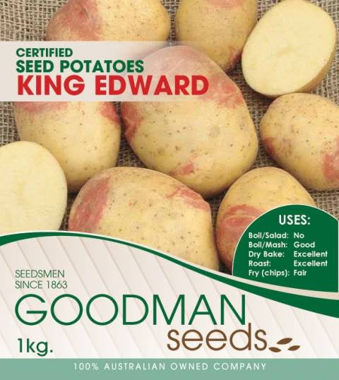 Seed Potatoes - King Edward