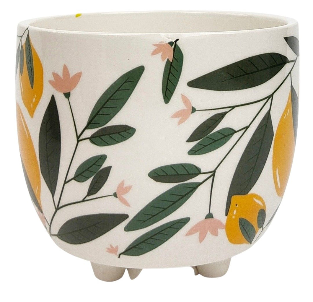 Evergreen Planter Yellow & Green