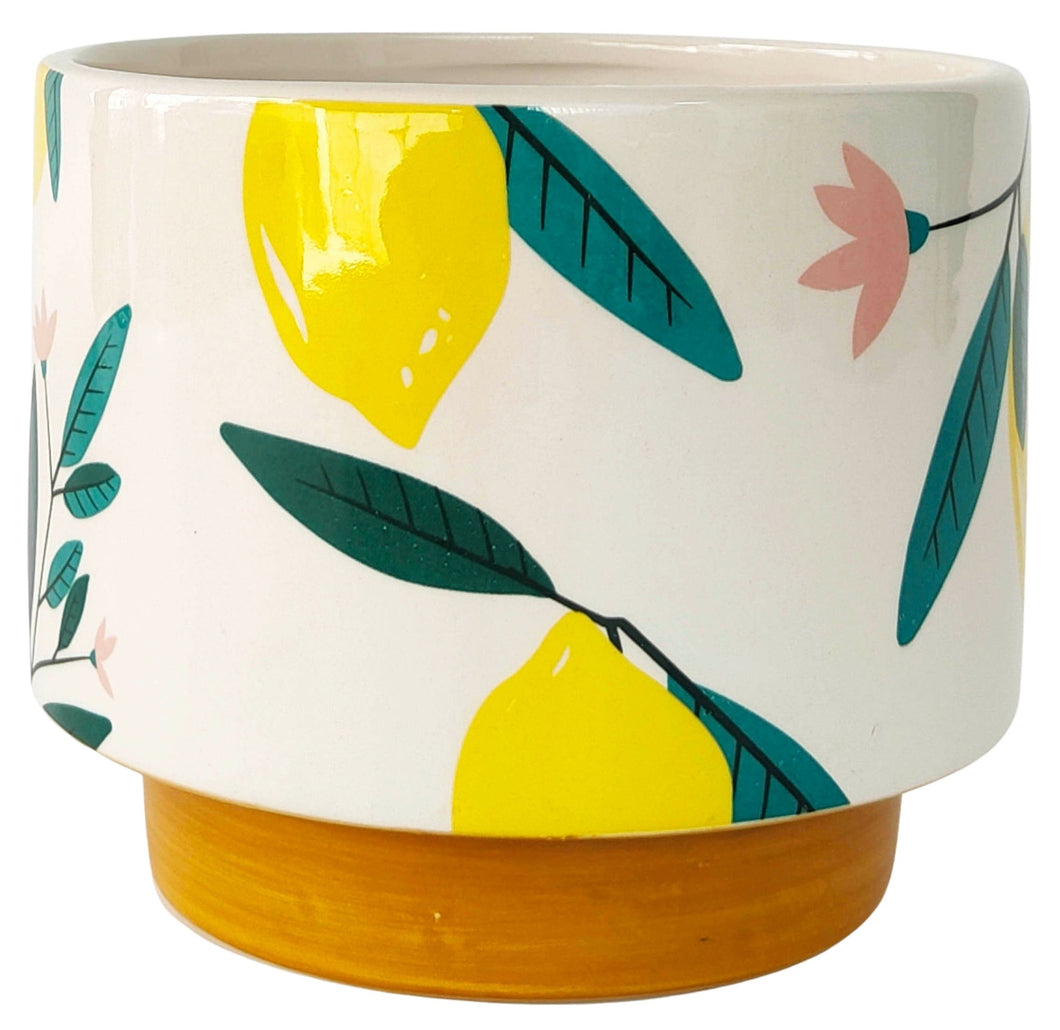 Evergreen Ceramic Planter