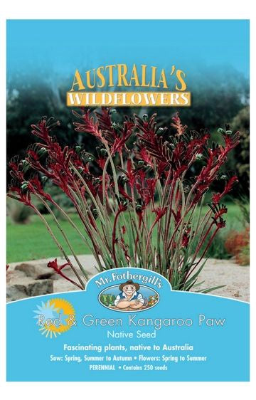 kangaroo paw plant seeds Kangaroo Paw 'Red/Green' Seeds – Northcote Nursery